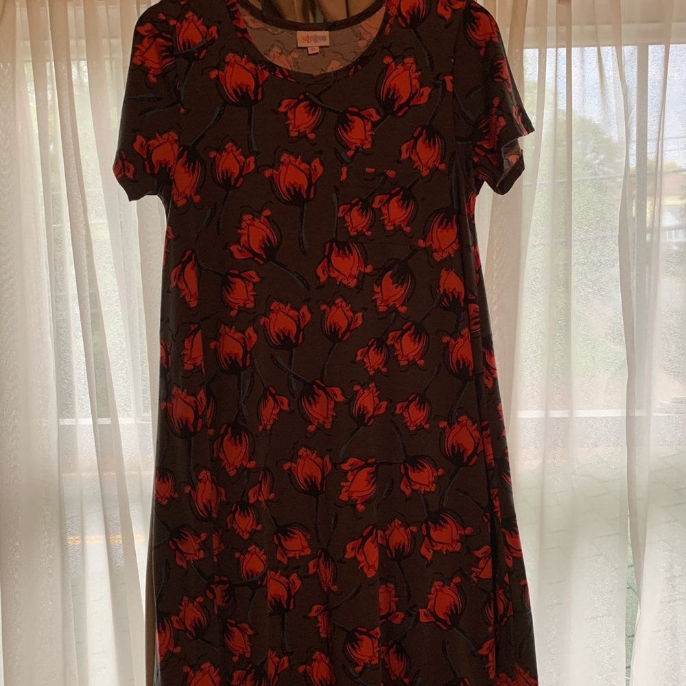 Lularoe Carly - size XS